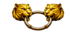 stoicsolutionz.com