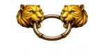 stoicsolutionz.com